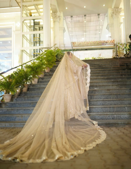 Long Fairytale Veil